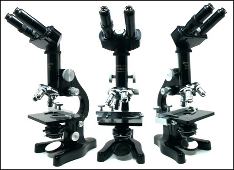Leitz Binocular Microscope circa 1949