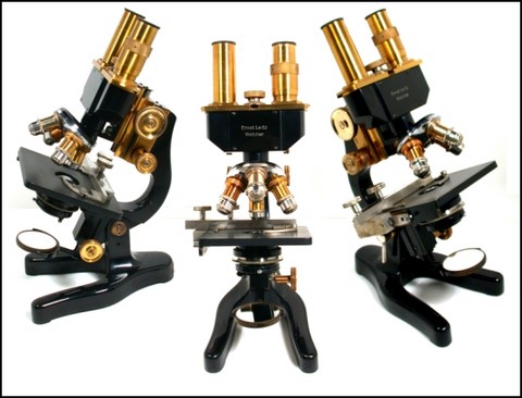 Leitz Binocular Microscope circa 1930