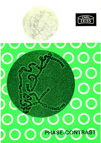 Zeiss Microscope Phase Contrast Equipment